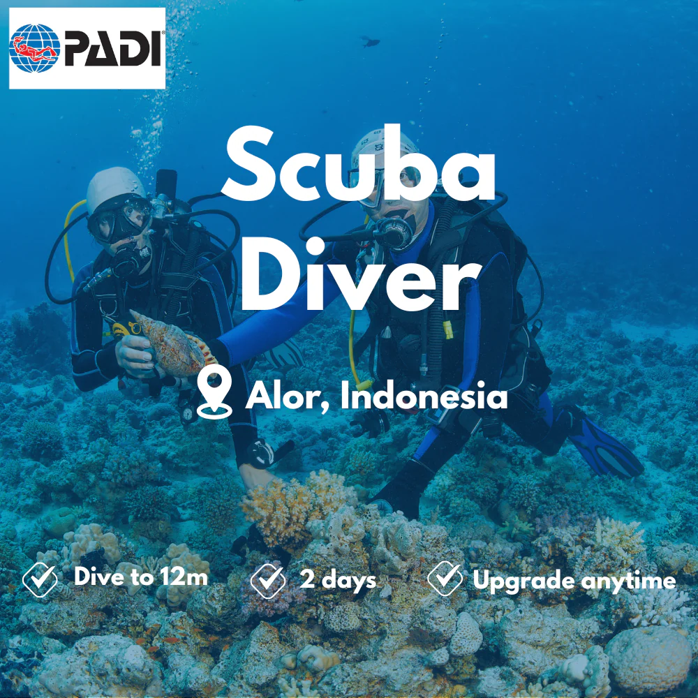PADI Scuba Diver course in Alor