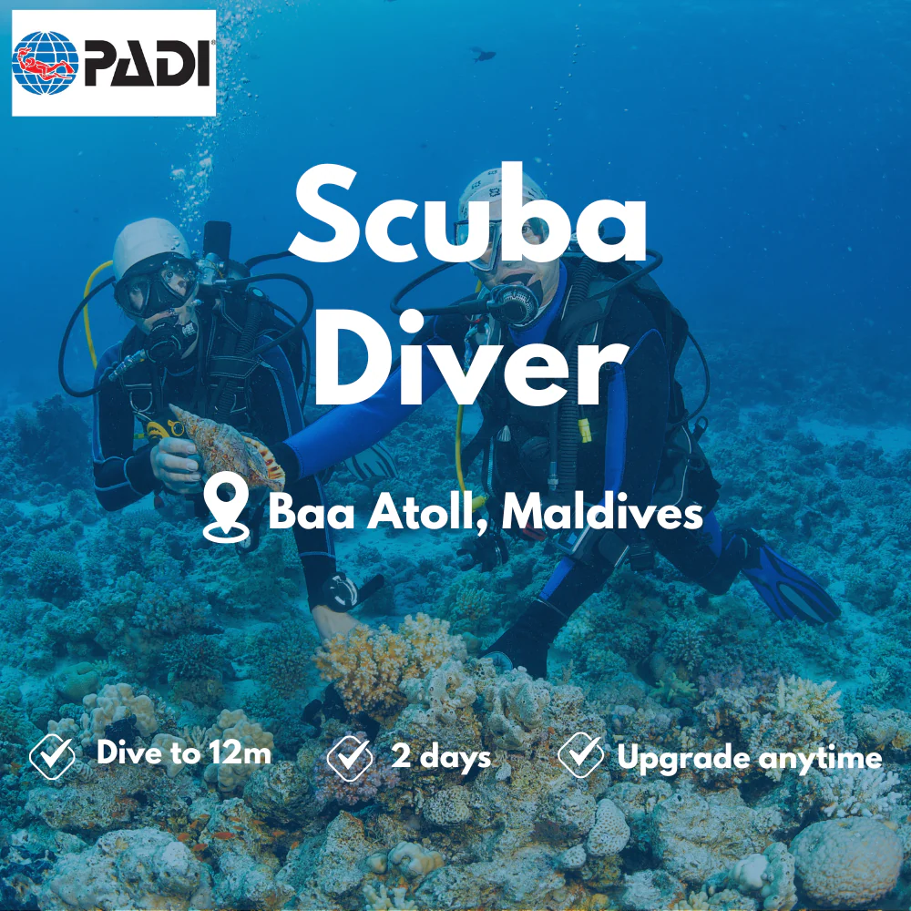 PADI Scuba Diver course in Baa Atoll