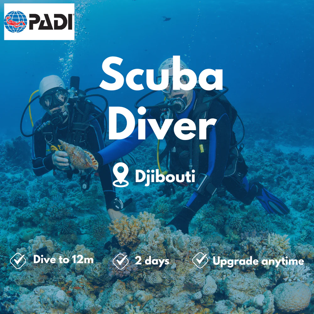 PADI Scuba Diver course in Djibouti
