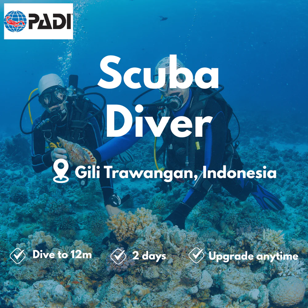 PADI Scuba Diver course in Gili Trawangan