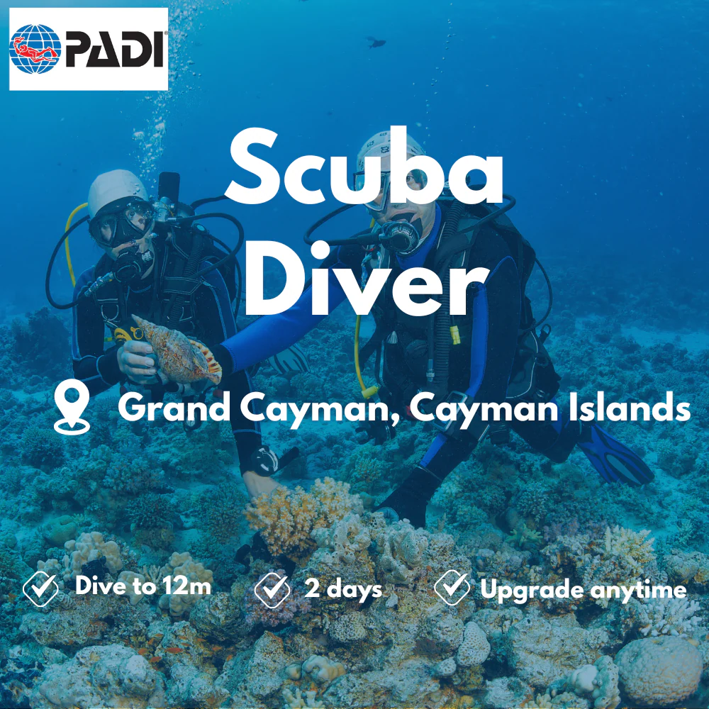 PADI Scuba Diver course in Grand Cayman