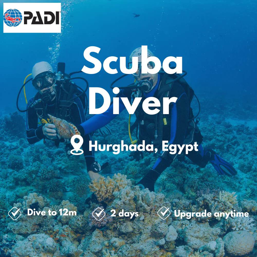 PADI Scuba Diver course in Hurghada