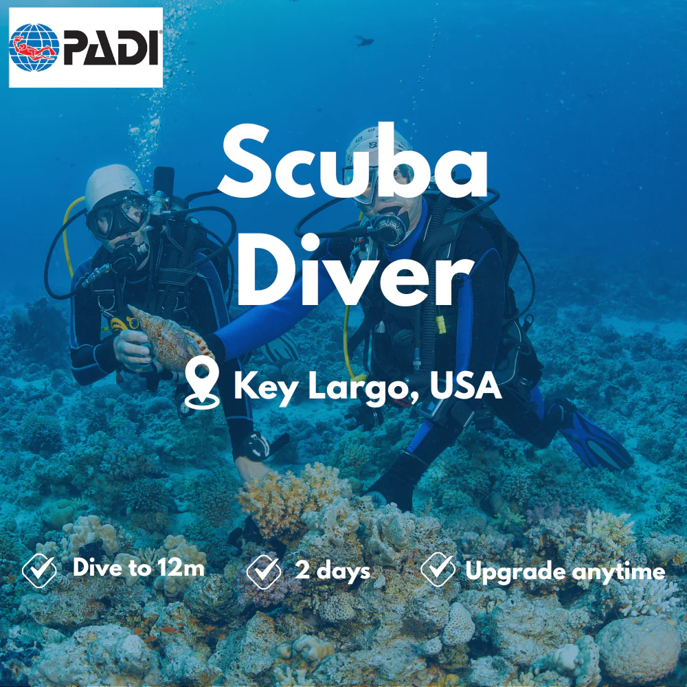 PADI Scuba Diver course in Key Largo