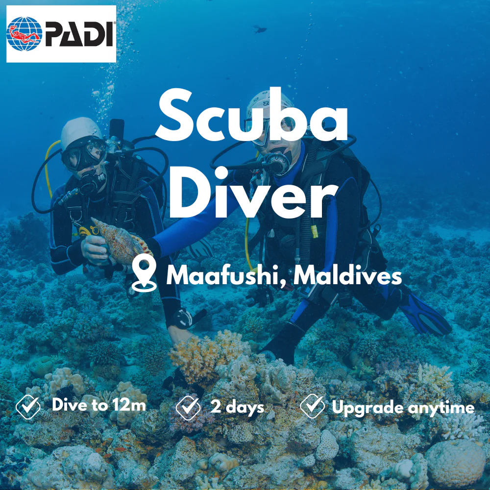 PADI Scuba Diver course in Maafushi