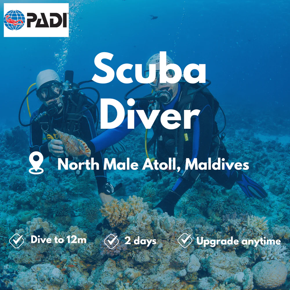 PADI Scuba Diver course in North Male Atoll