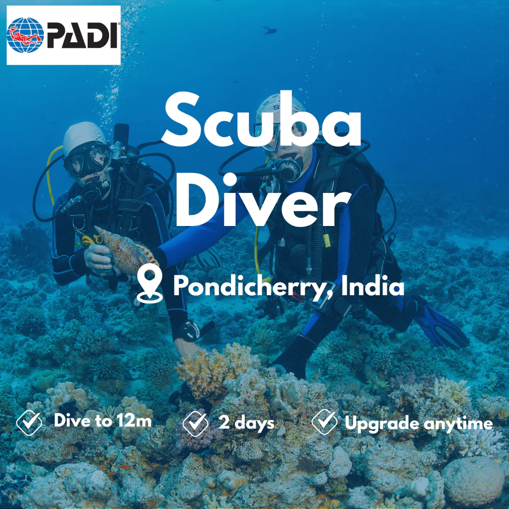 PADI Scuba Diver course in Pondicherry