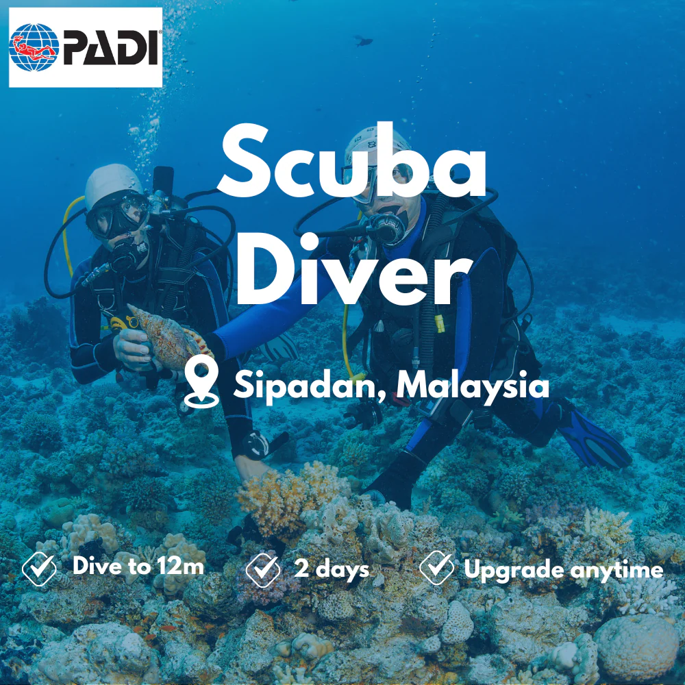 PADI Scuba Diver course in Sipadan