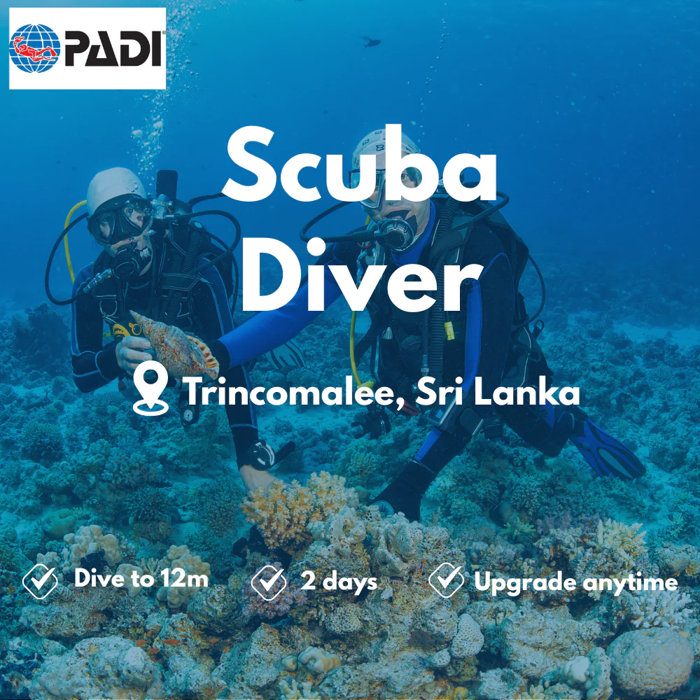 PADI Scuba Diver course in Trincomalee