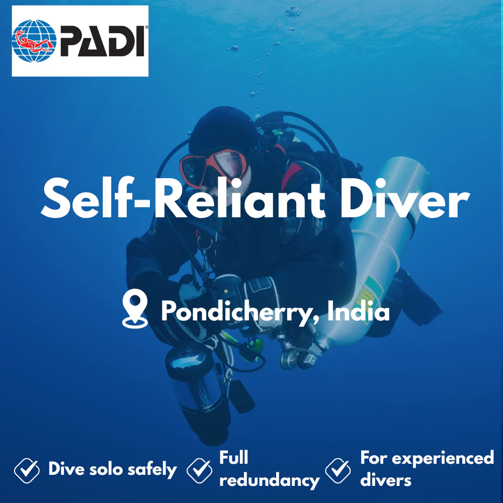 PADI Self-Reliant Diver course in Pondicherry