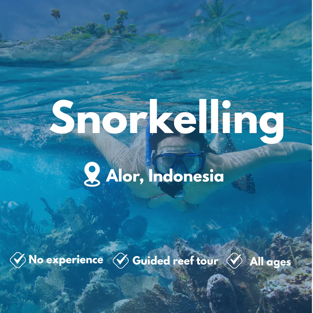 PADI Snorkelling course in Alor