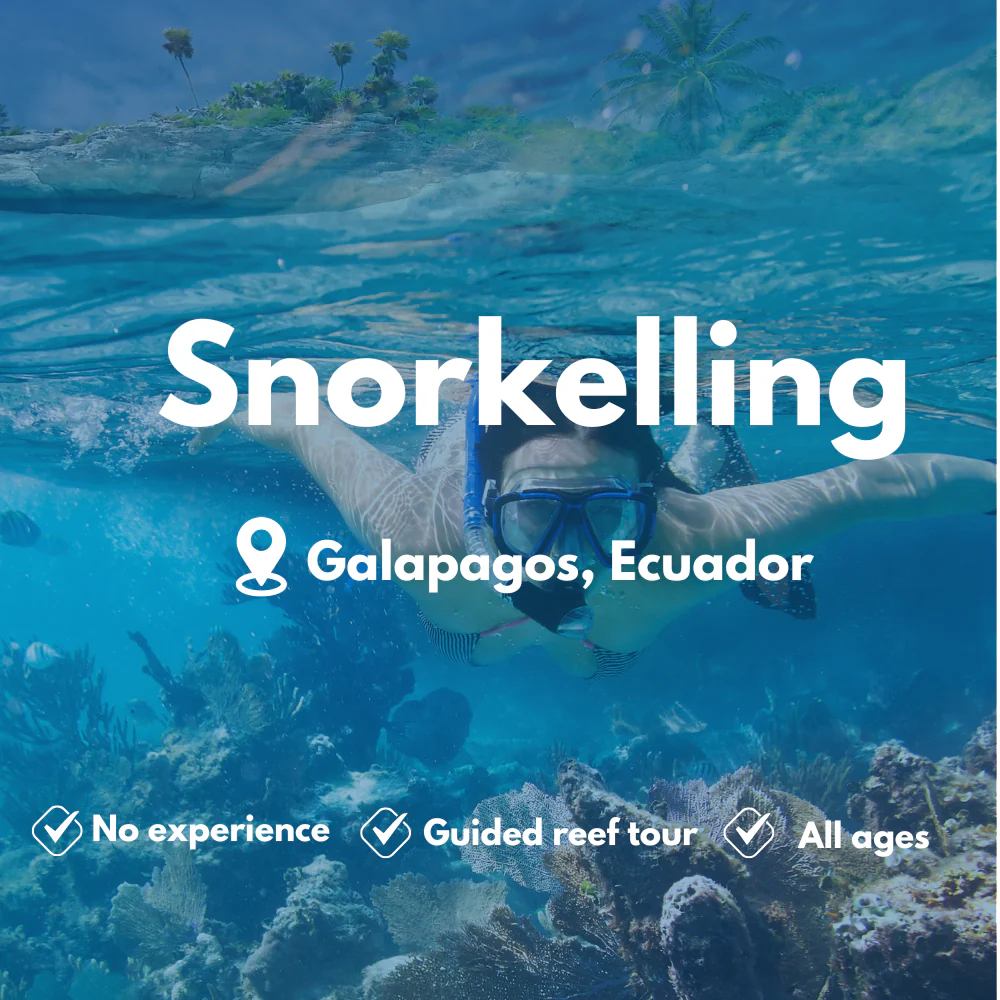 PADI Snorkelling course in Galapagos