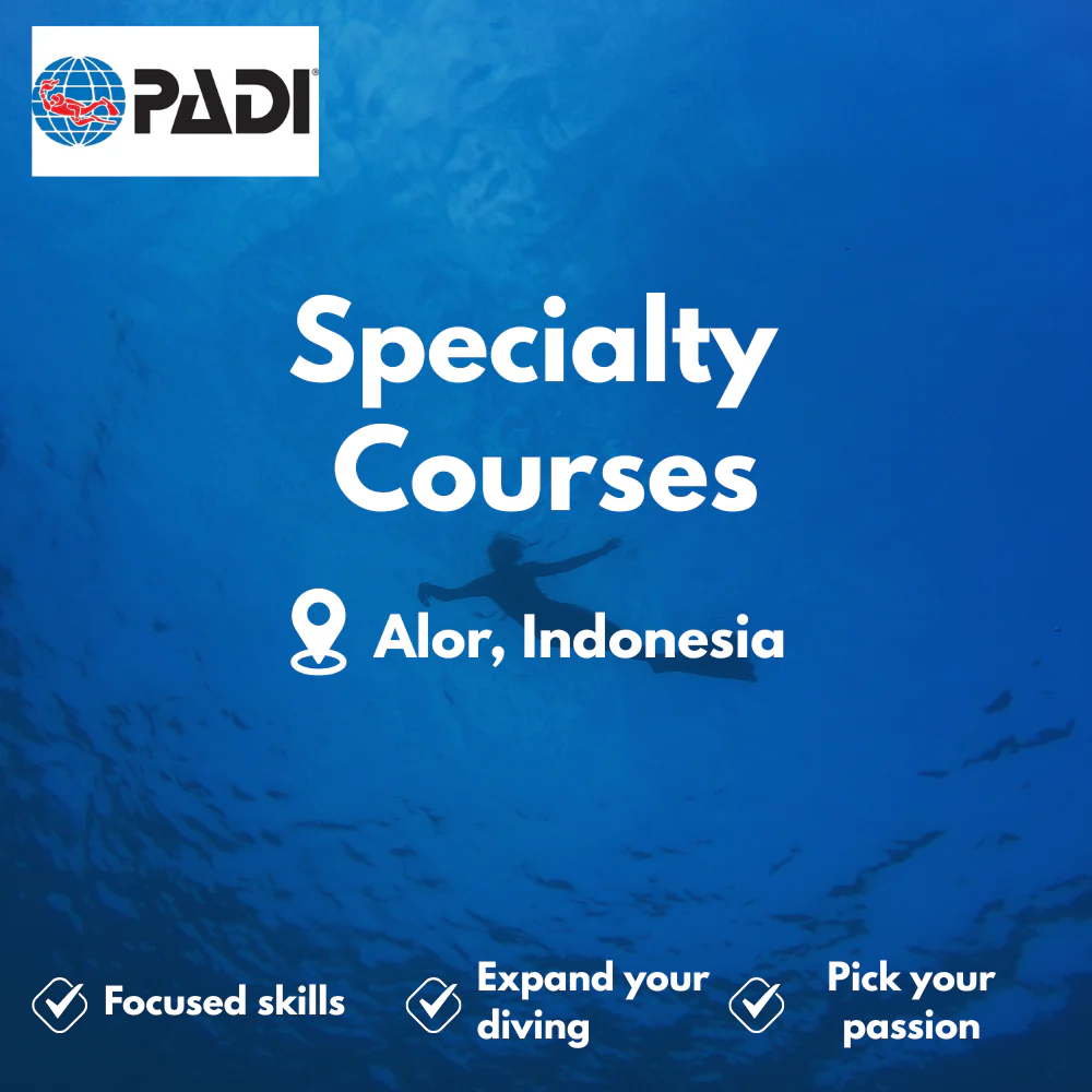 PADI Specialty Courses course in Alor