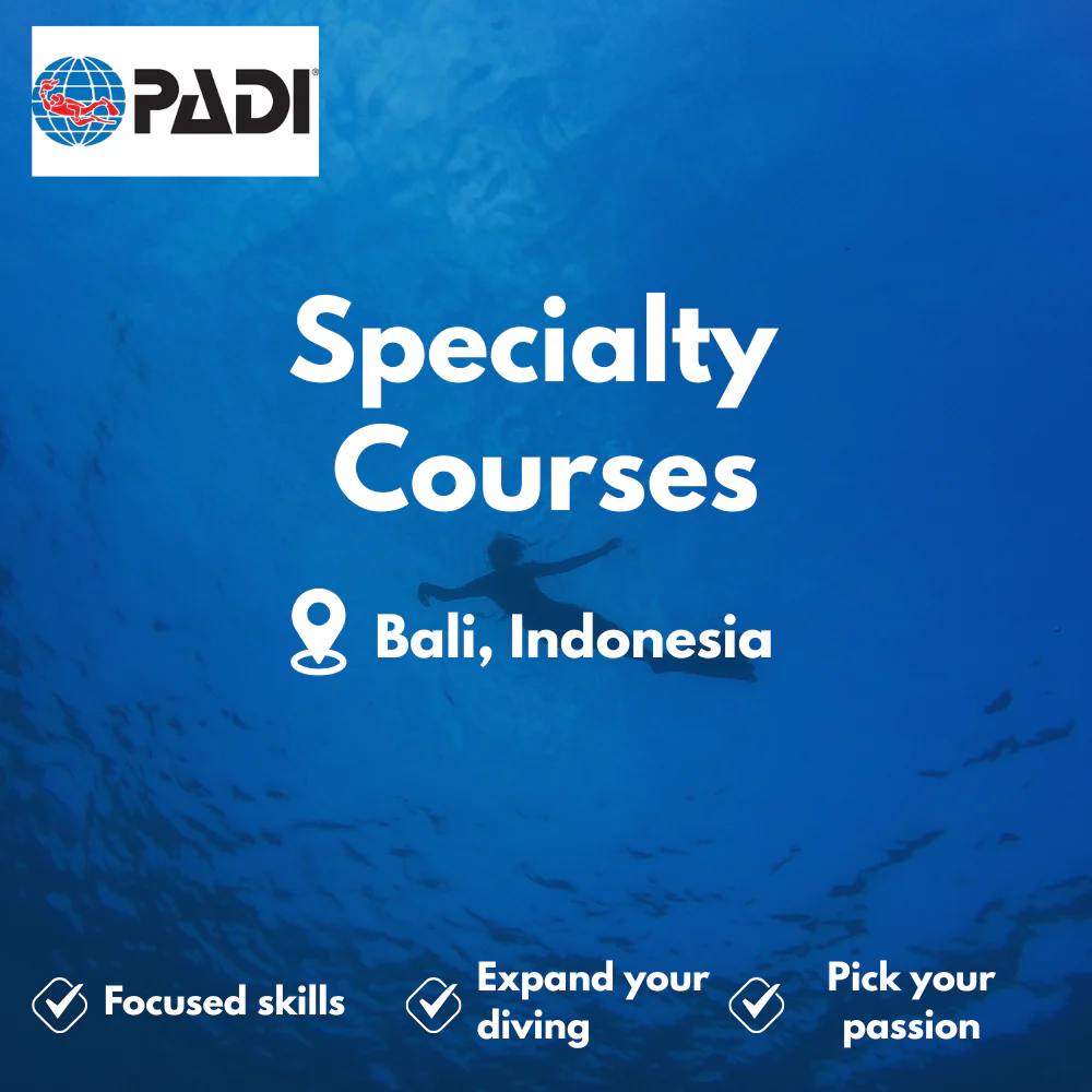 PADI Specialty Courses course in Bali