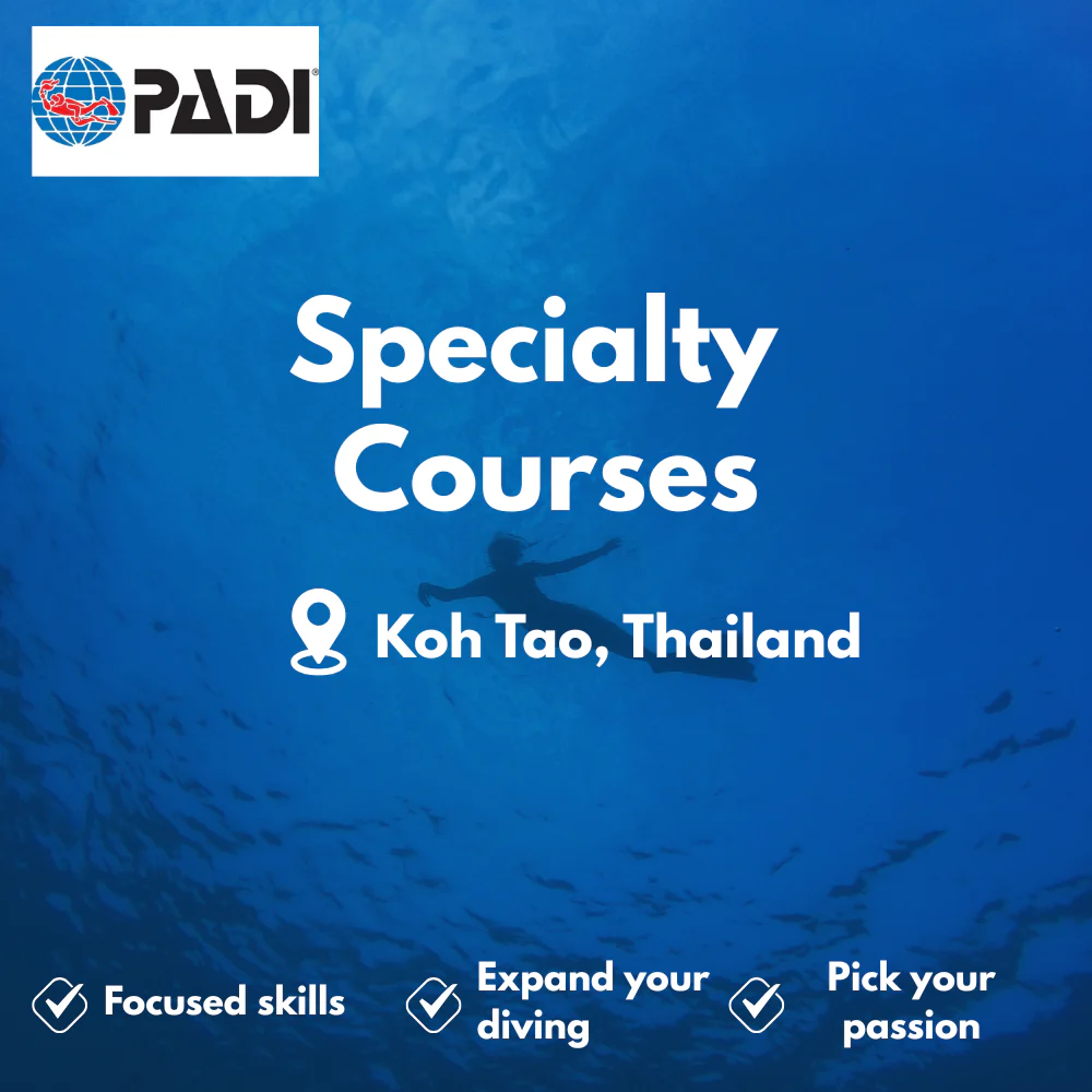 PADI Specialty Courses course in Koh Tao