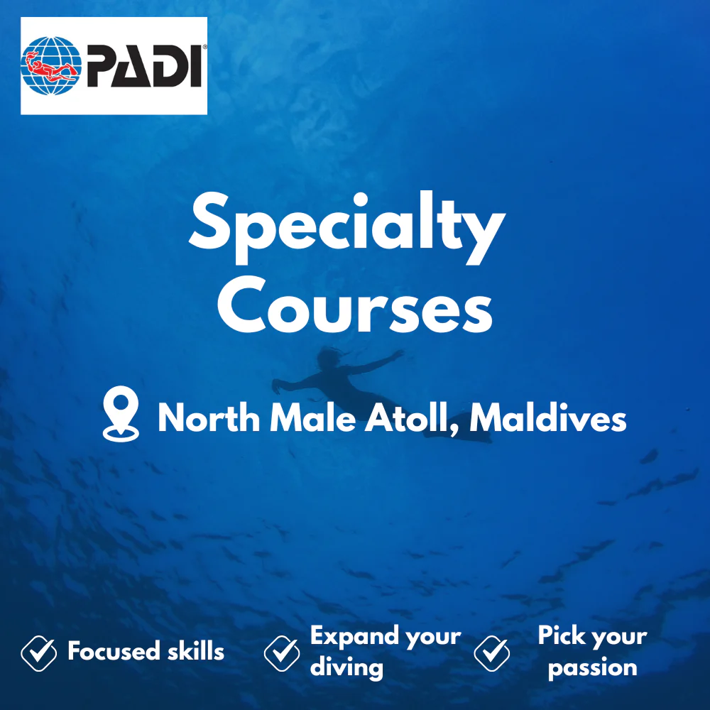 PADI Specialty Courses course in North Male Atoll