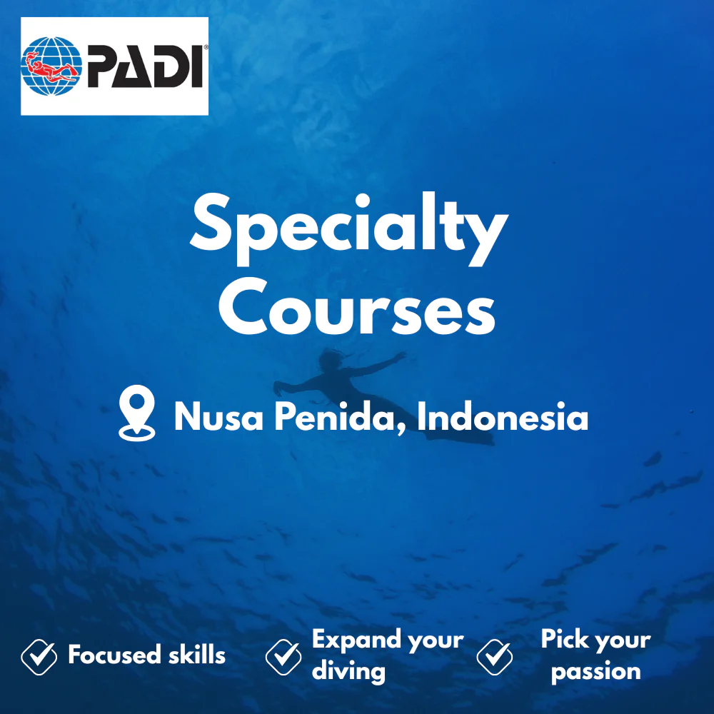 PADI Specialty Courses course in Nusa Penida