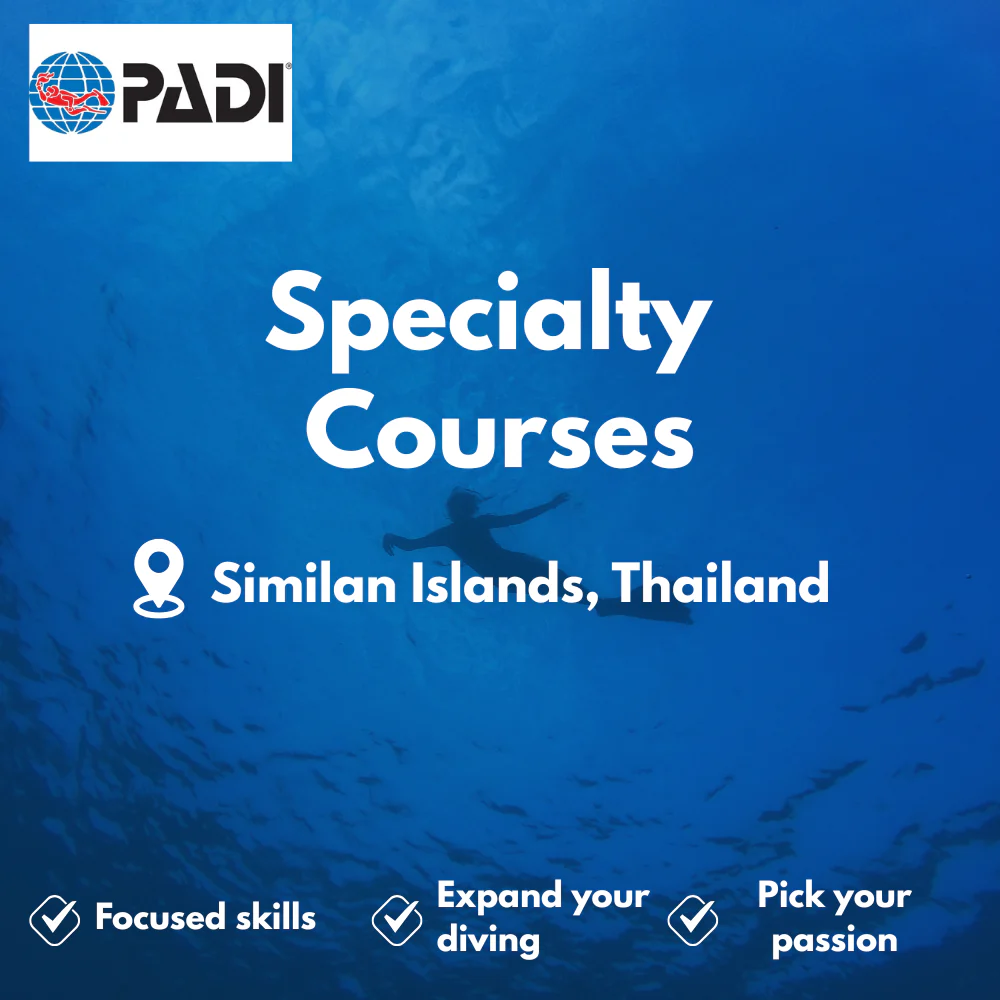PADI Specialty Courses course in Similan Islands