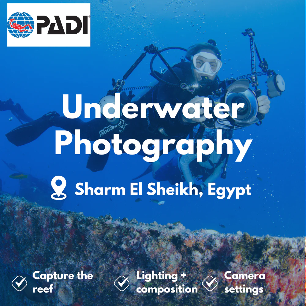 PADI Underwater Photography course in Sharm El Sheikh