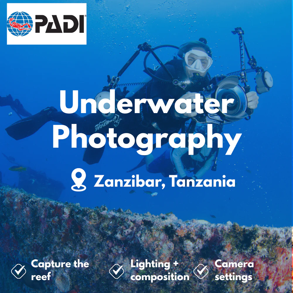 PADI Underwater Photography course in Zanzibar