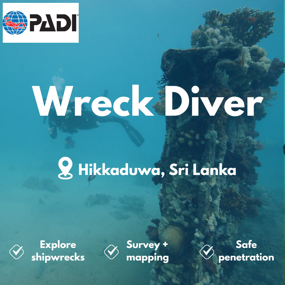 PADI Wreck Diver course in Hikkaduwa