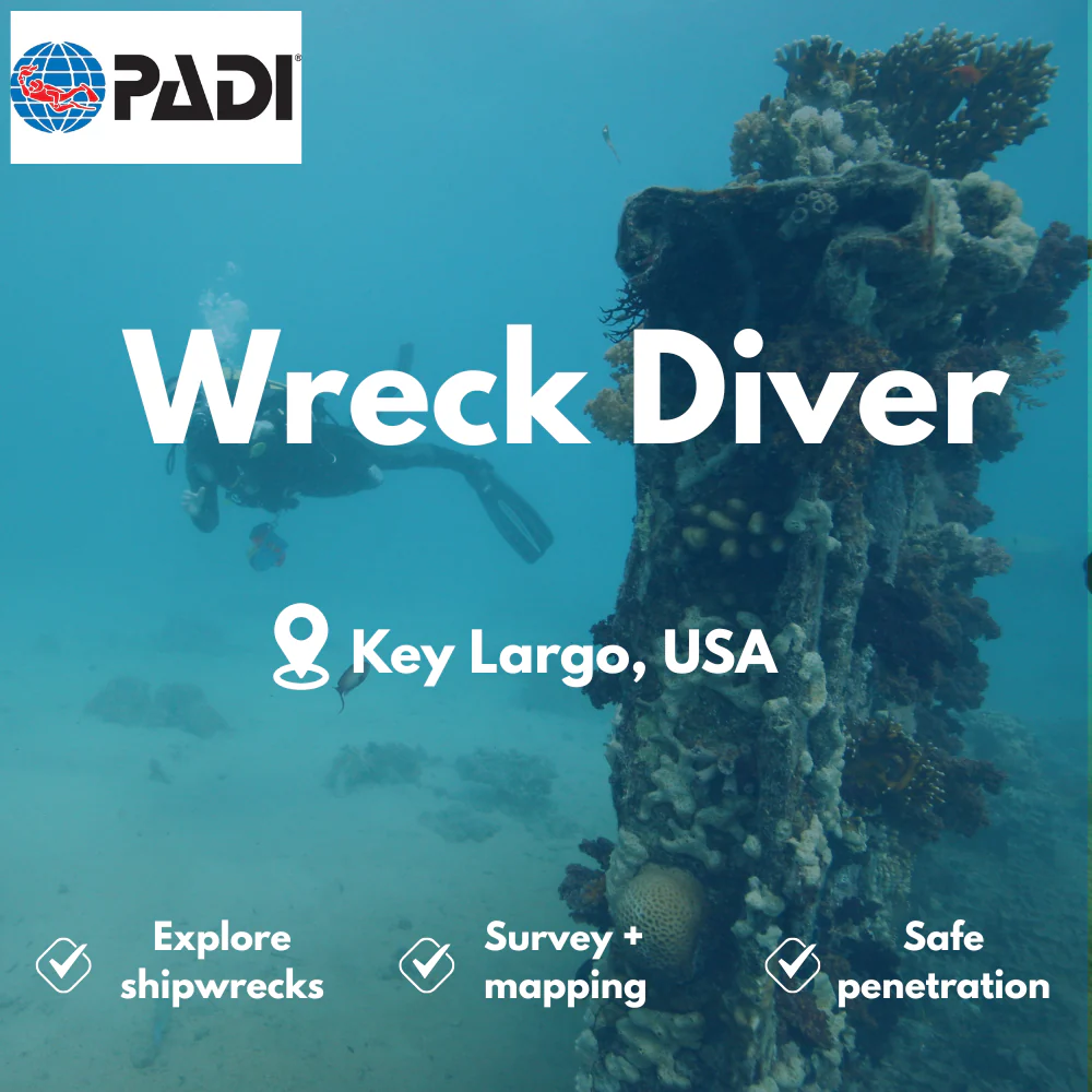 PADI Wreck Diver course in Key Largo