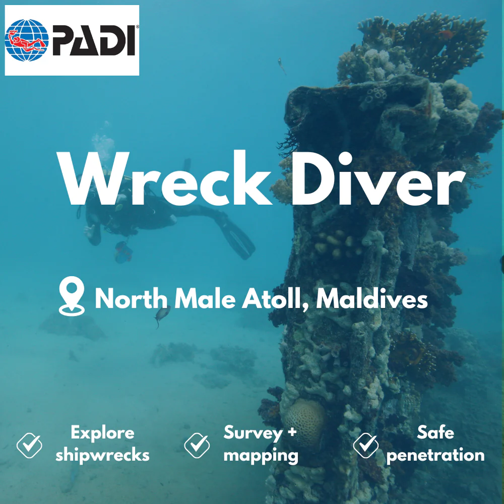 PADI Wreck Diver course in North Male Atoll