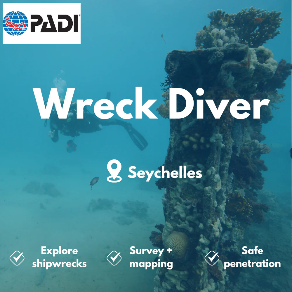 PADI Wreck Diver course in Seychelles