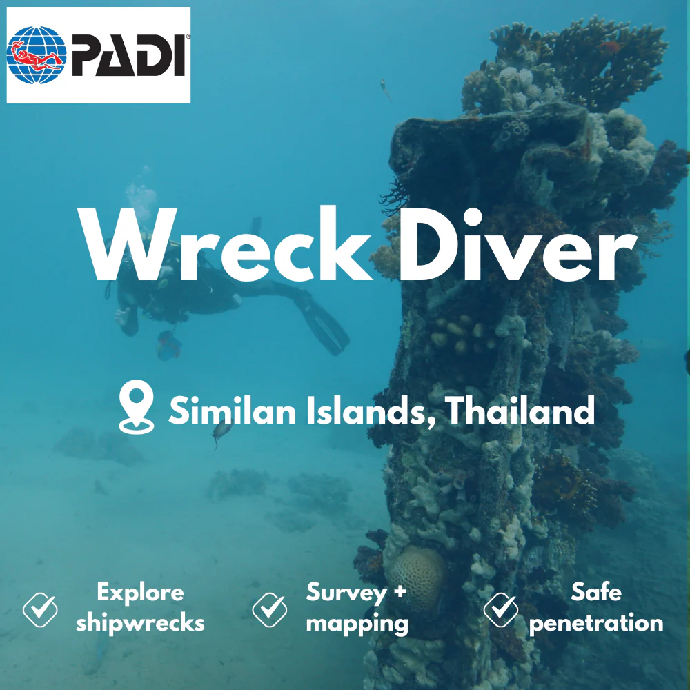 PADI Wreck Diver course in Similan Islands