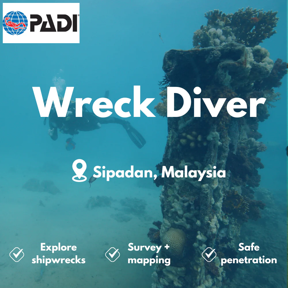 PADI Wreck Diver course in Sipadan