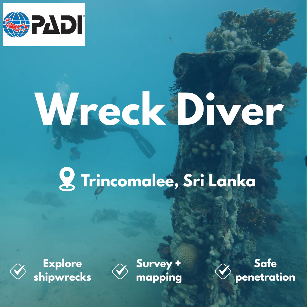 PADI Wreck Diver course in Trincomalee