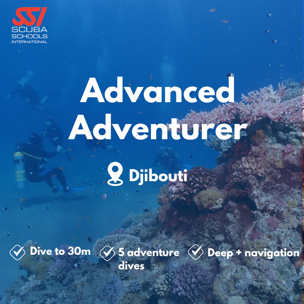 SSI Advanced Open Water course in Djibouti