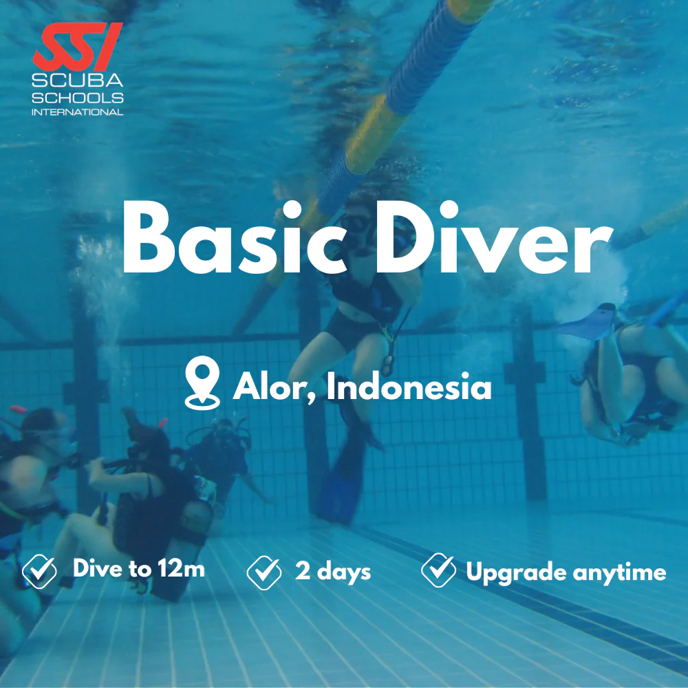 SSI Basic Diver course in Alor