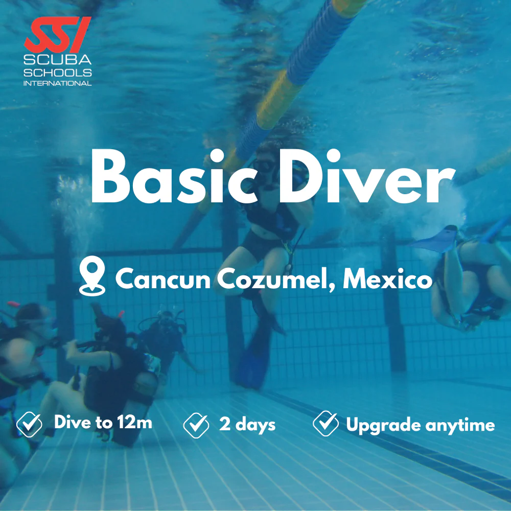 SSI Basic Diver course in Cancun Cozumel
