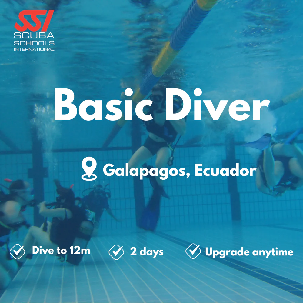 SSI Basic Diver course in Galapagos