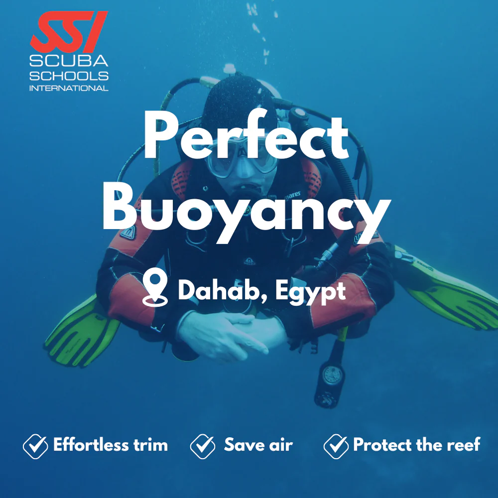 SSI Peak Performance Buoyancy course in Dahab