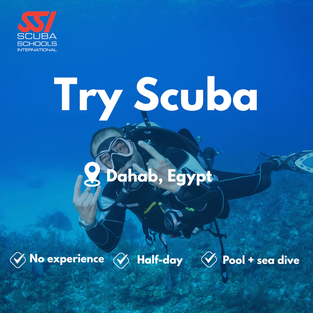 SSI Discover Scuba course in Dahab