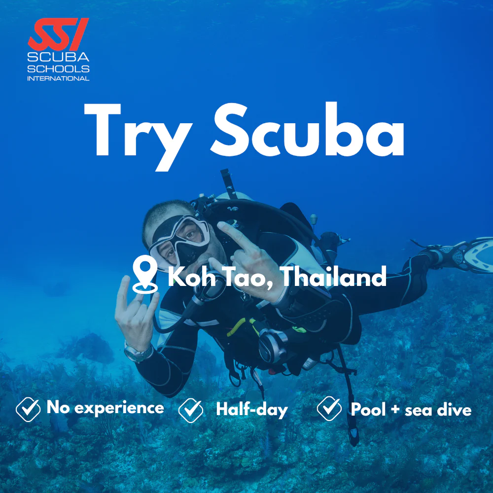 SSI Discover Scuba course in Koh Tao