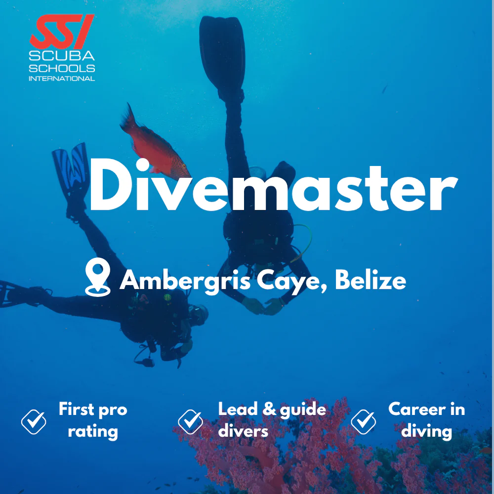 SSI Divemaster course in Ambergris Caye