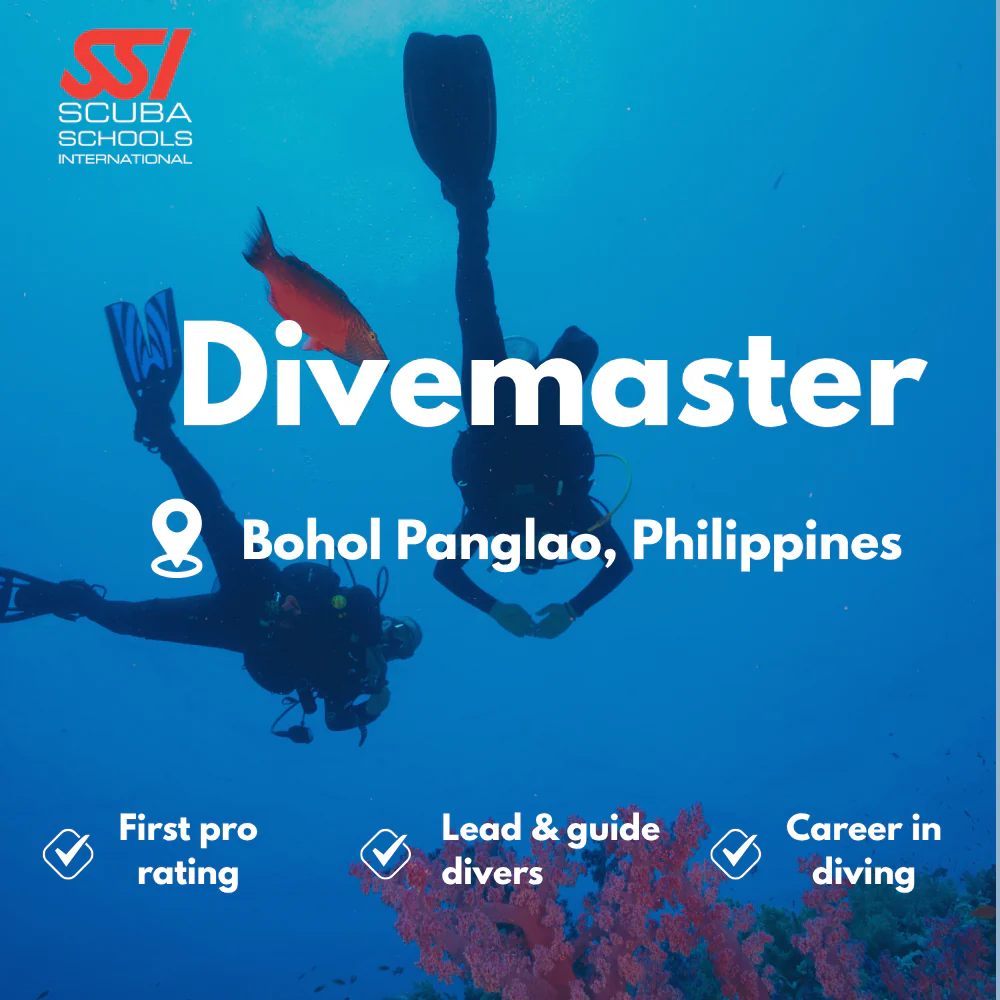 SSI Divemaster course in Bohol Panglao