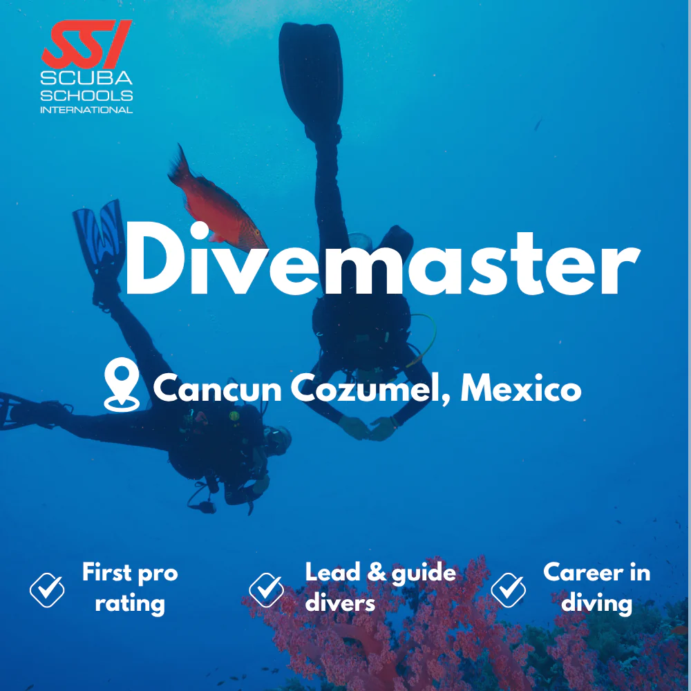 SSI Divemaster course in Cancun Cozumel