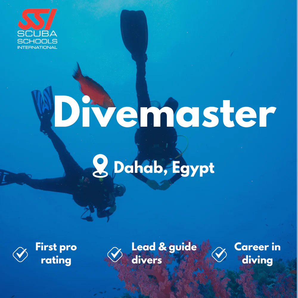 SSI Divemaster course in Dahab