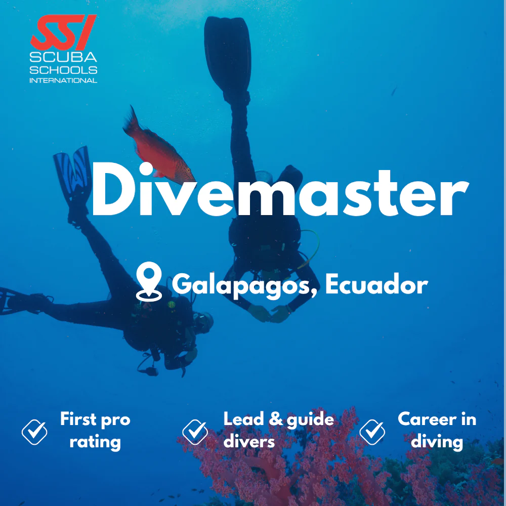 SSI Divemaster course in Galapagos