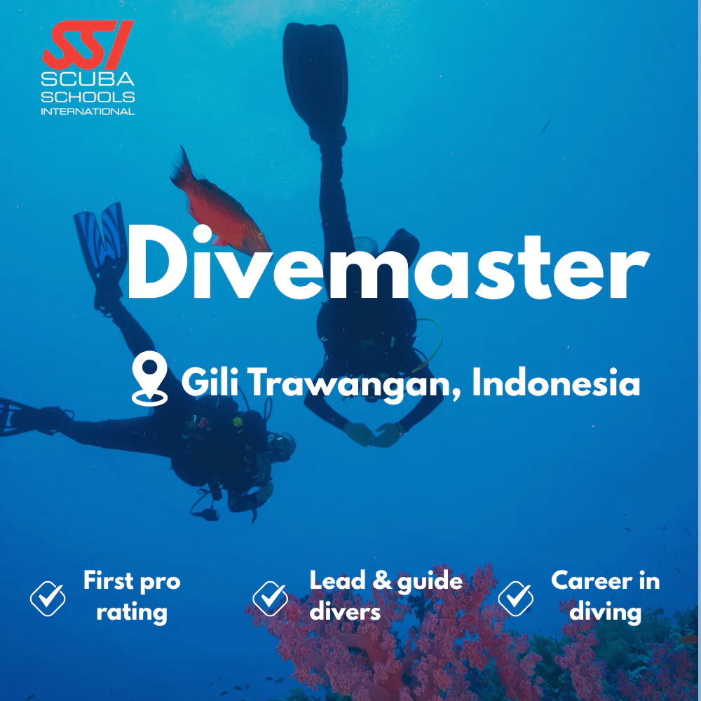 SSI Divemaster course in Gili Trawangan