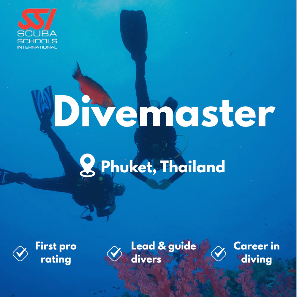 SSI Divemaster course in Phuket