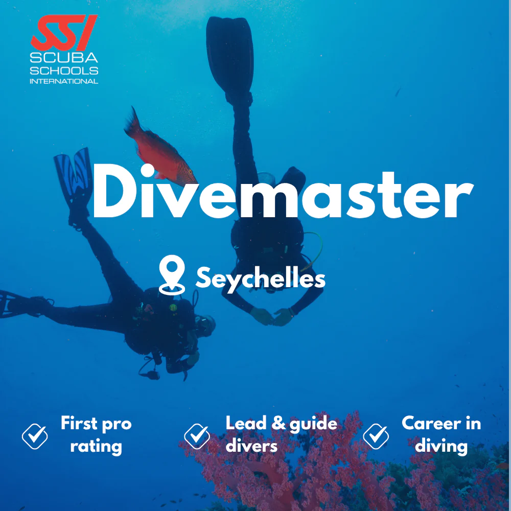 SSI Divemaster course in Seychelles
