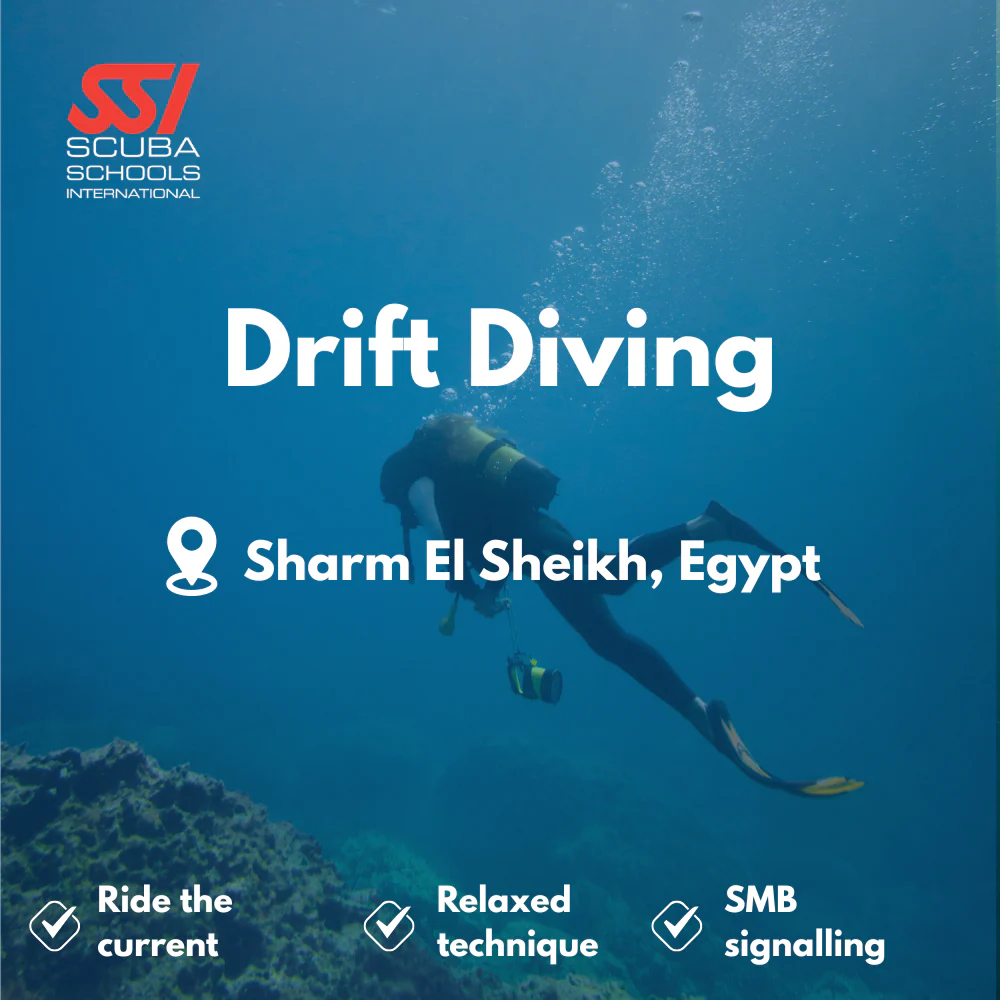 SSI Drift Diver course in Sharm El Sheikh