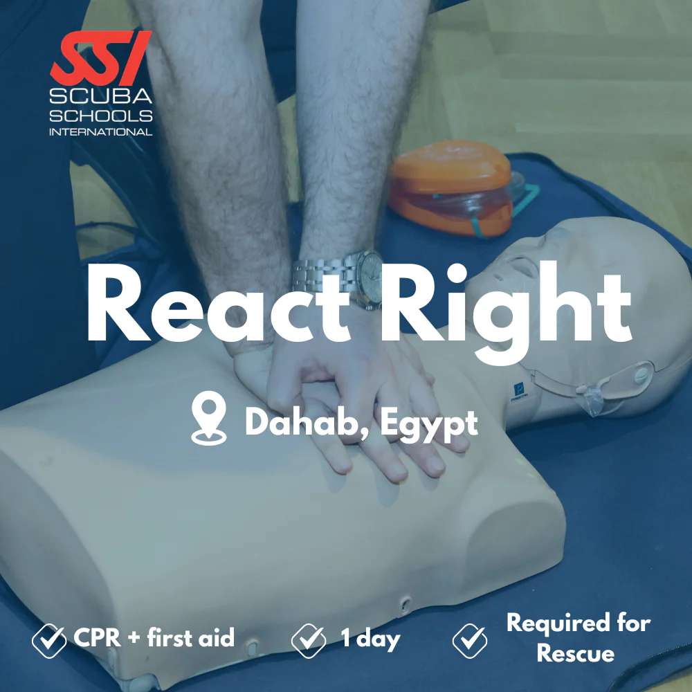 SSI Emergency First Response course in Dahab