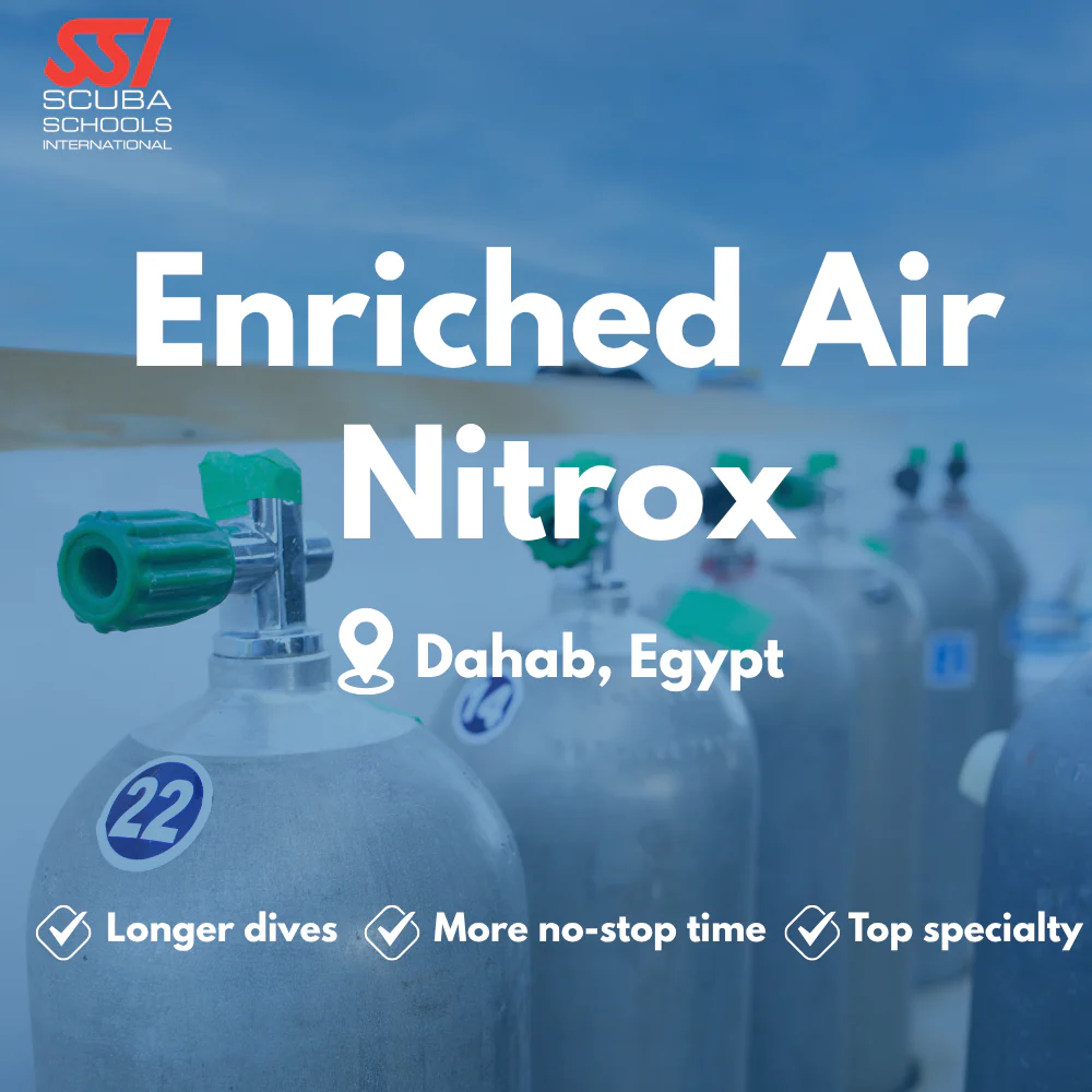SSI Enriched Air (Nitrox) course in Dahab