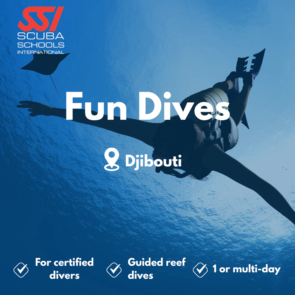 SSI Fun Dives course in Djibouti