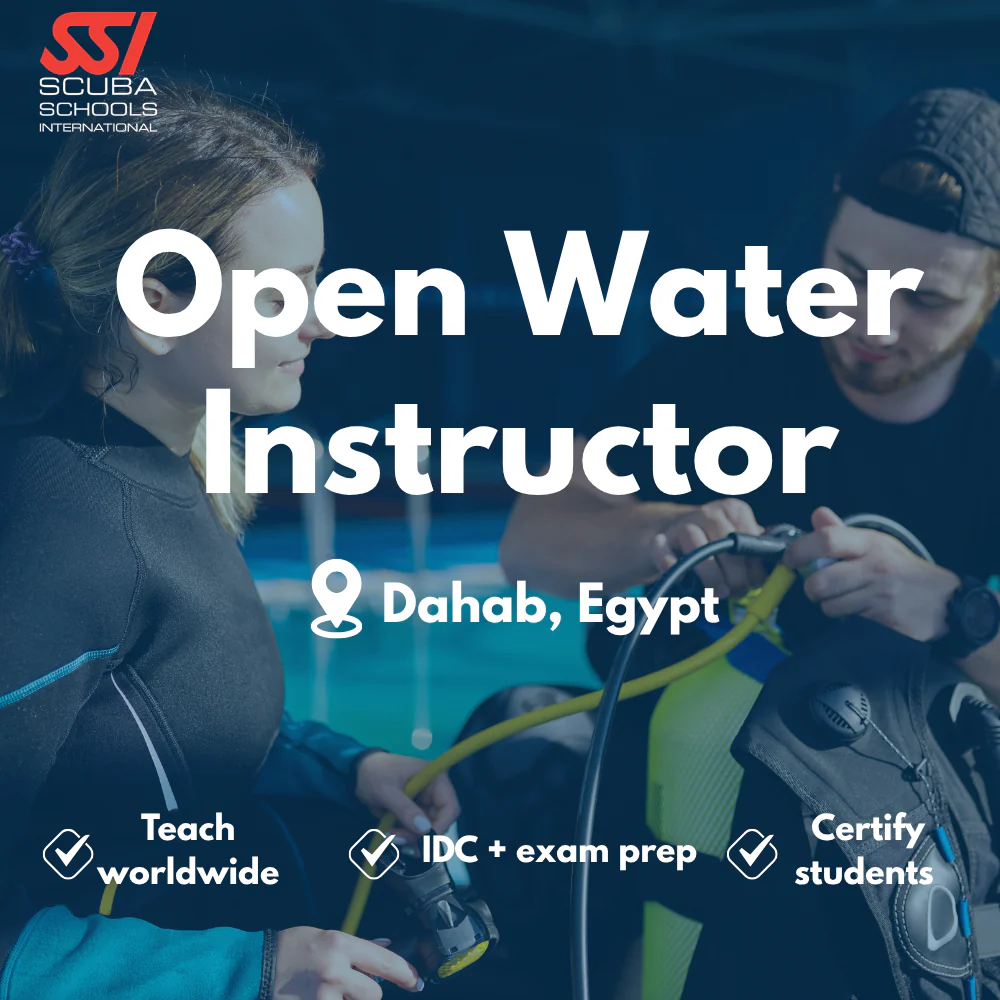 SSI Instructor / IDC course in Dahab